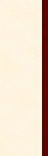 AffichePapillonSite1