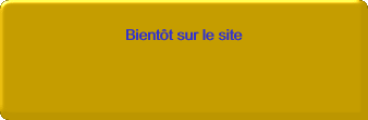 AlerteVLFlash